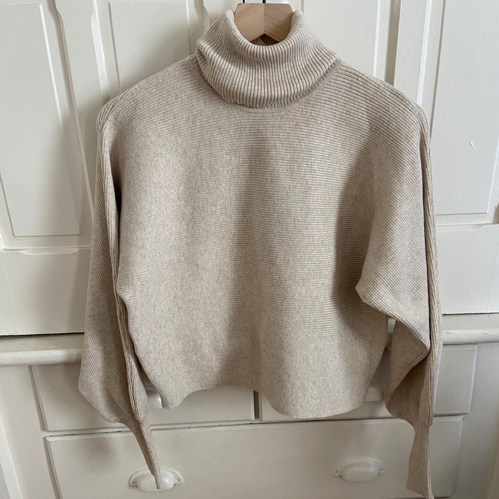 Crop Turtleneck Sweater